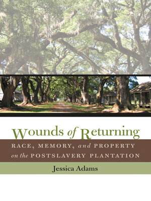 cover image of Wounds of Returning